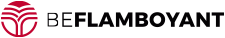 Be Flamboyant logo
