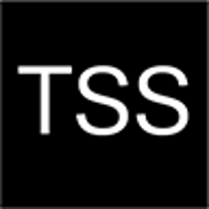 The Standard Stitch logo