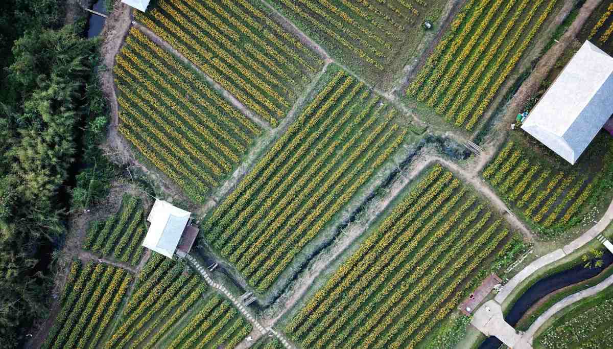 Arial image of a small farm with out buildings